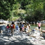 Lynn Canyon Group