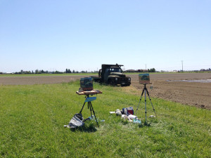 michael king plein air Westham Island Herb Farm